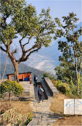 IMG_20230201_152851.jpg_compressed