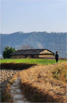 IMG_20230201_154649.jpg_compressed