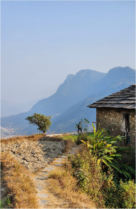 IMG_20230201_154849.jpg_compressed