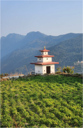 IMG_20230201_154922.jpg_compressed